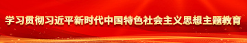 大黑鸡吧操逼视频学习贯彻习近平新时代中国特色社会主义思想主题教育